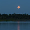 Supermoon Dawn 2013 #2