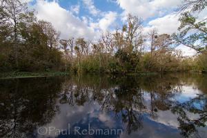 Ocklawaha River